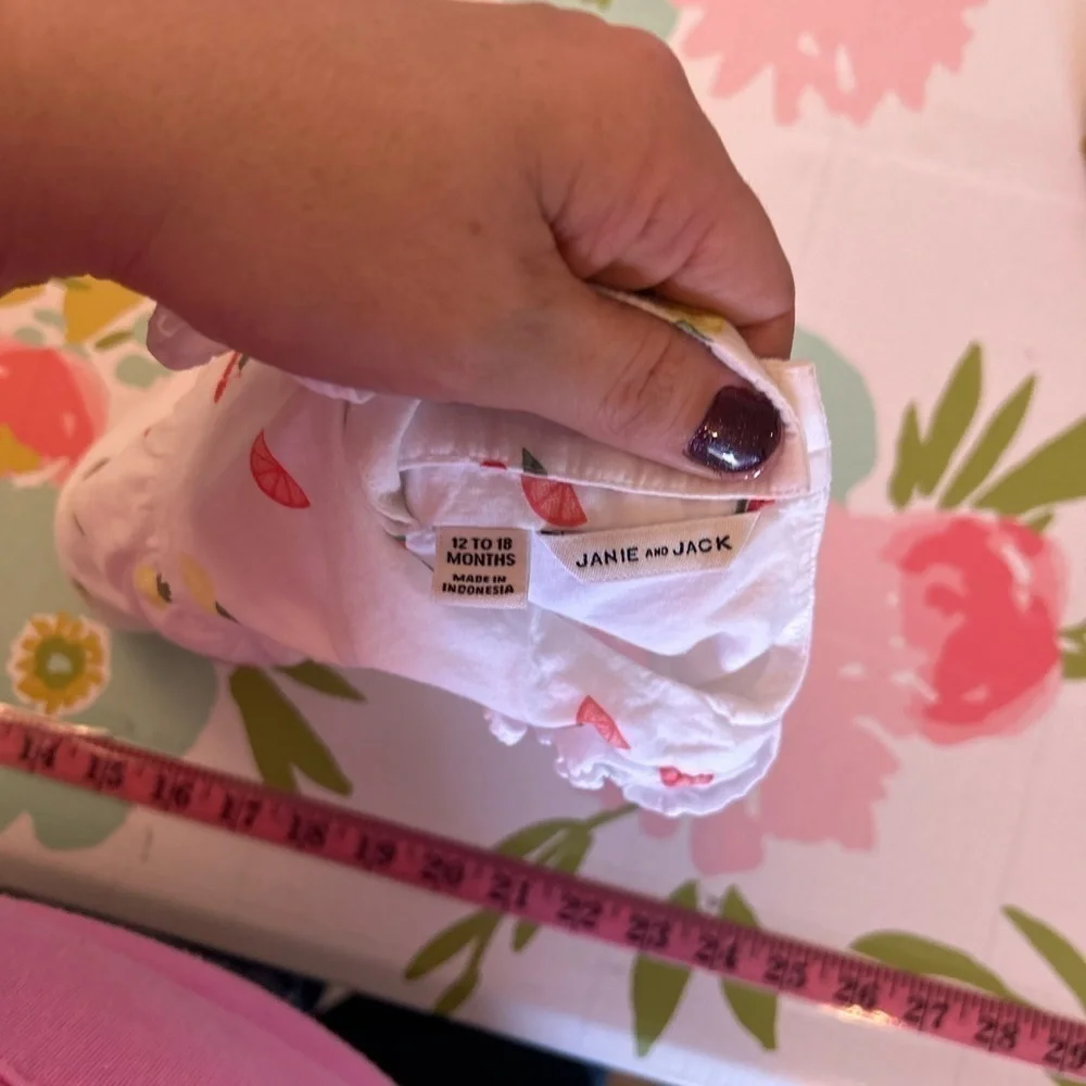 Janie & jack 18-24 month fruit print dress